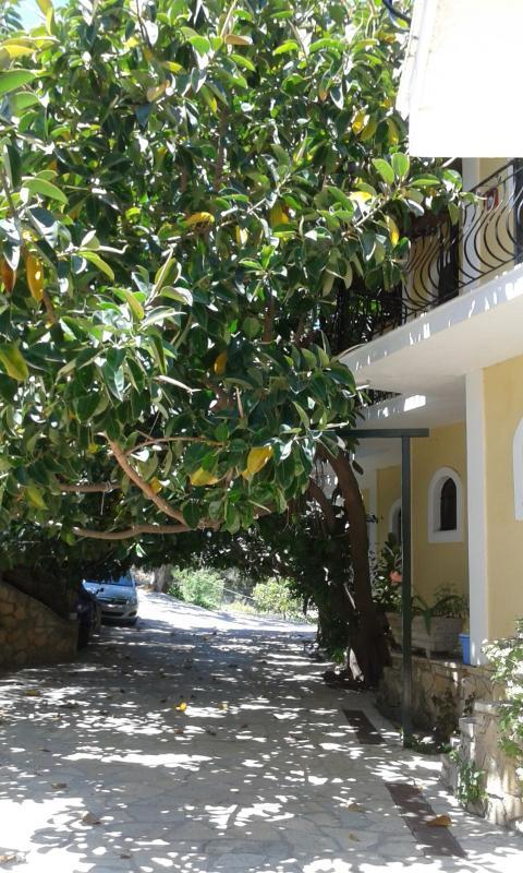Studio Timotheos Marathias  Exterior photo